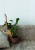 Панель LV124 NP HI WOOD 120 мм х 12,0мм х 2,7м /16шт Панель LV124 NP HI WOOD 120 мм х 12,0мм х 2,7м /16шт
